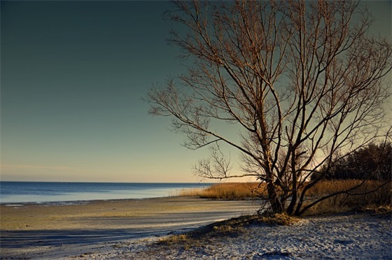 爱了却要放下的句子(实用1510句)