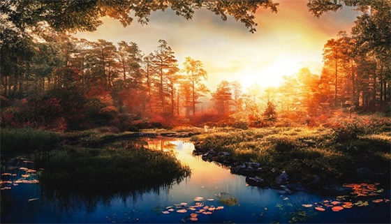 感谢老师的句子经典用语大全精选1041句