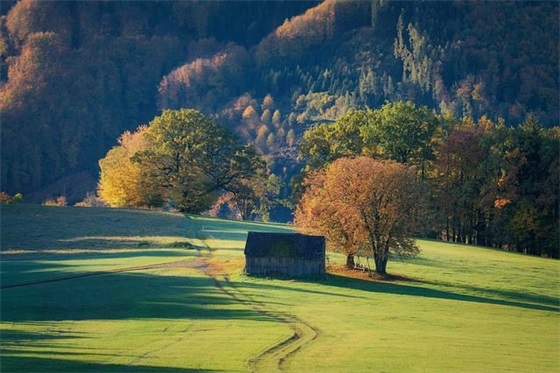 带木和水的男孩名字 有福气宝宝起名大全