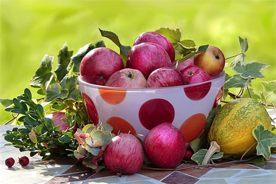 带春天的网名英文女生