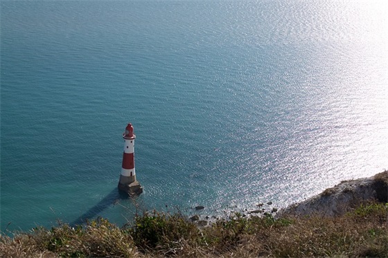 带宠物的点名网名女孩