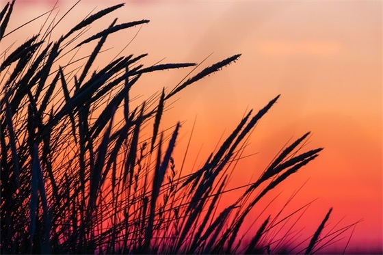 带平凡人的网名