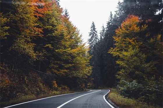 推荐二字网名带食物的名字