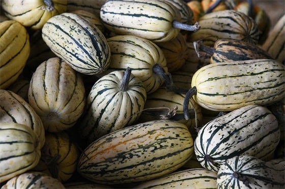 带马的好听的网名男