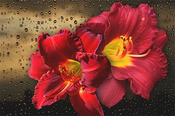 带马字的网名简短女生