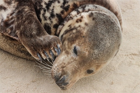 带艺术性的网名