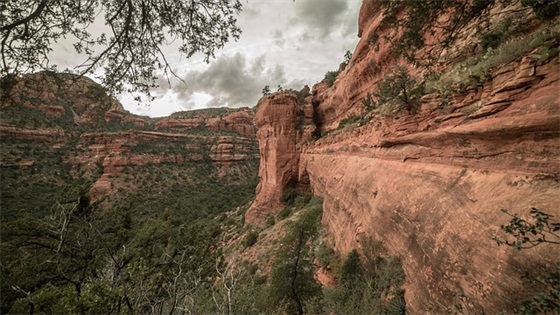 带博带虎名字的网名男