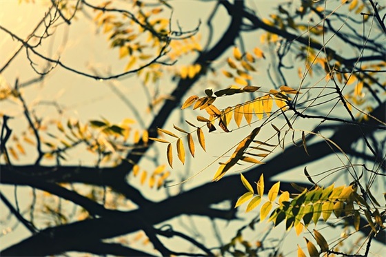 带可的三字网名