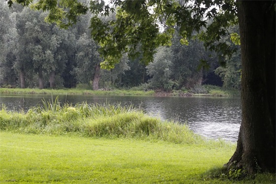 评论游戏的好句子精选230句