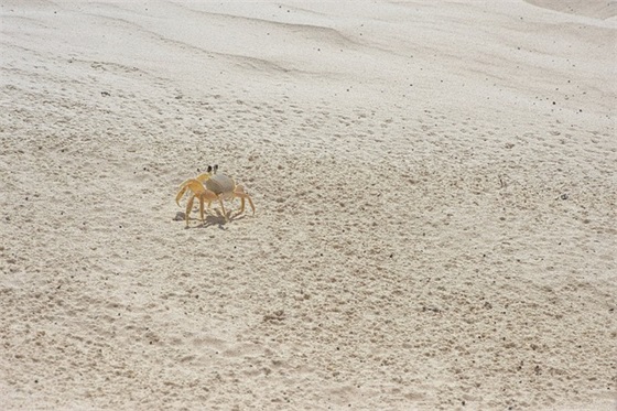 下辈子不要相遇句子精选162句