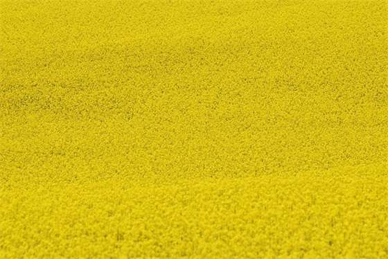 终于放假了的句子精选209句