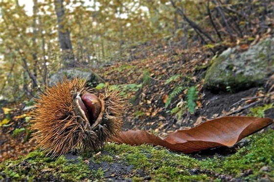 形容人言而无信的句子精选223句