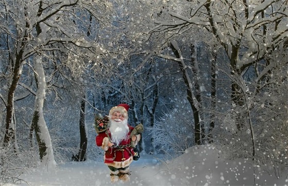 悼念父亲的句子精选192句