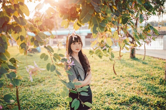 描写紫薇的优美句子(精选156句)