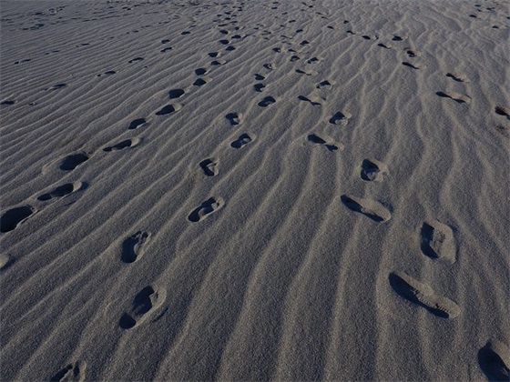 形容汉字魅力的句子精选256句