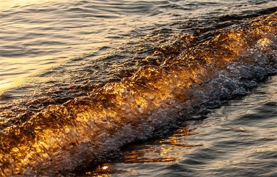 描写大自然的简短句子大全精选104句