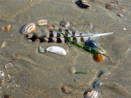 小孩姓名大全男孩免费 2024年阳光大气男婴取名