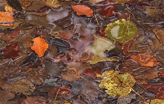 虎年小名大全男孩最全版本 给男宝宝起小名技巧