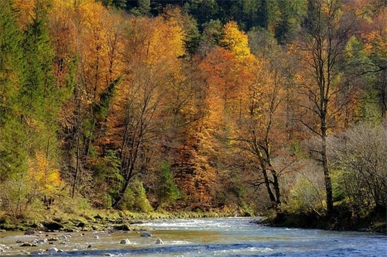 2024男孩傅姓起名字洋气 超级火爆的男宝宝名