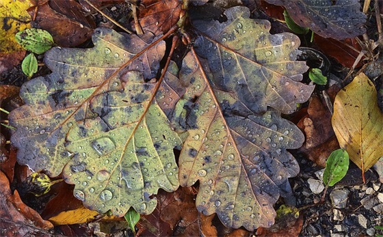 沈姓男孩取名大全100分 起名推荐新潮