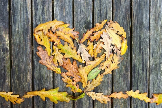 女孩乳名2024属虎宝宝 简单好记的小名大全