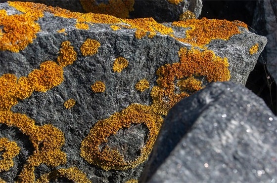 带草字头和三点水的男孩名字 超凡脱俗的男宝宝