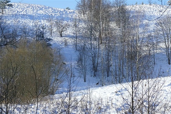 虎年男宝宝取名字最佳字 2024年男孩好听又福气名字