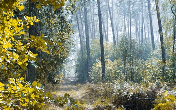 2024牛年寓意好的罗姓女孩名字 天真无邪宝宝名