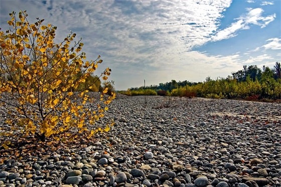 属牛取名宜用字大全 有气质的宝宝名字