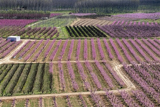 虎年二月出生的男孩名字 2024年男宝宝取名最新版