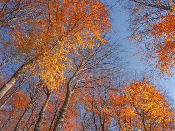 今天出生的八字取名吉利用字（本日女宝宝五行缺火取名）