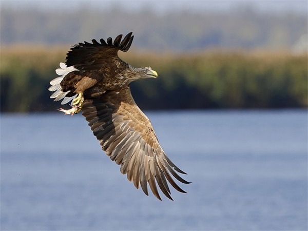 命中缺火的宝宝如何选择福气名字？（吴姓男孩五行缺火起名大全）