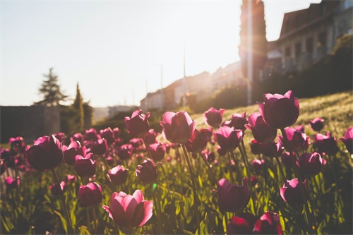 女生qq励志个性签名