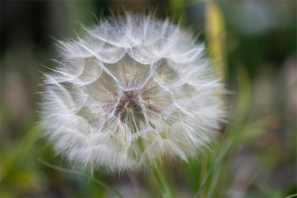 2024虎年端午节出生的女宝宝五行缺水取名（2024年端午节出生属虎女孩缺水取名吉