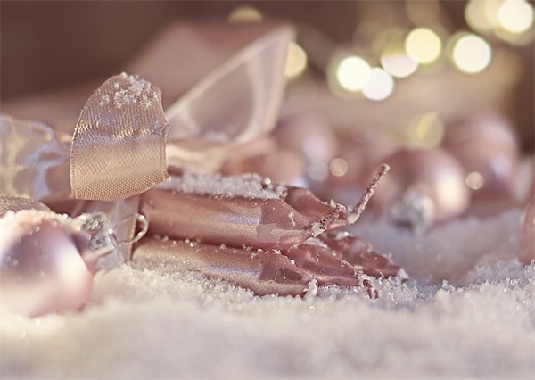 哪些名字能让人感受到秋意呢（秋天生的虎宝宝女孩名字）