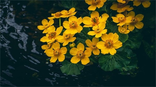 关于争取机会的励志名言