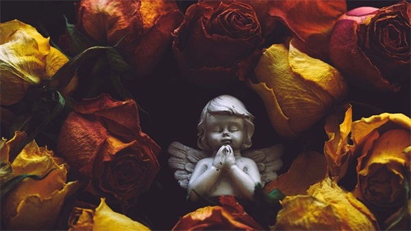 2024年出生的孩子小名（2024可爱的宝宝小名）