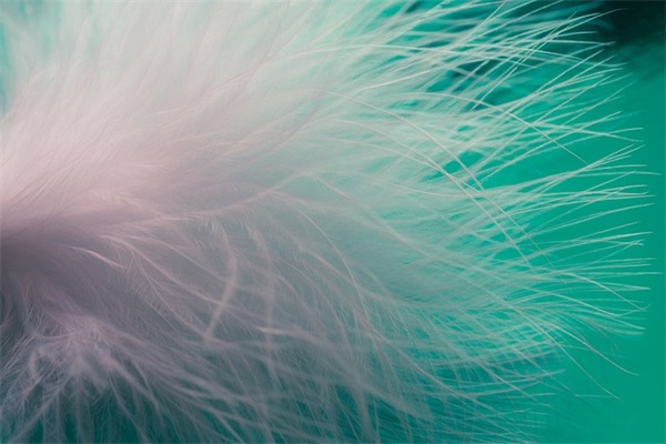 2024牛宝宝取小名（牛宝宝小名大全2024洋气）