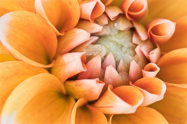 2024年出生虎宝宝姓李名字精选（属虎宝宝的起名宜用字）