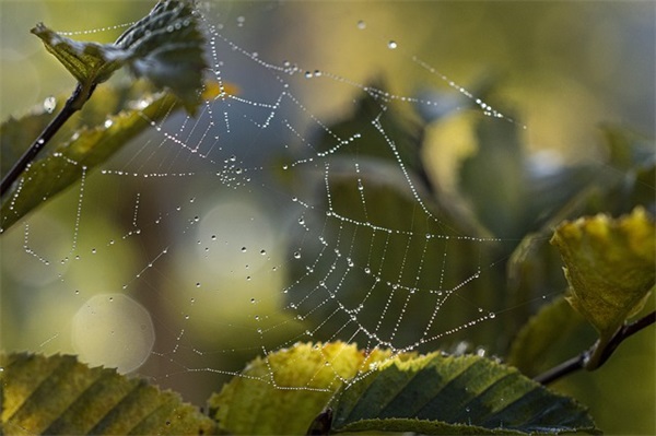 十2024时辰分析（本日出生宝宝性格优缺点）