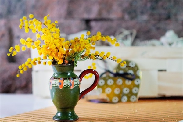 好听寓意好运健康的龙凤胎虎宝宝名字（一儿一女取名大全虎宝宝）