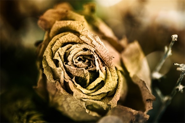 寓意好的店铺名字简单又好听（店铺起名）