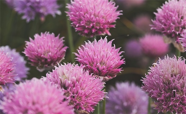 店铺名字如何选方案（简单有寓意的泳装店名）