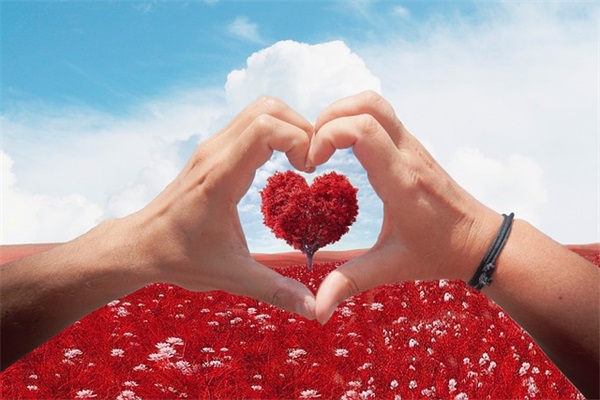 教师人生格言大全