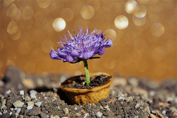 爱国格言和古诗词