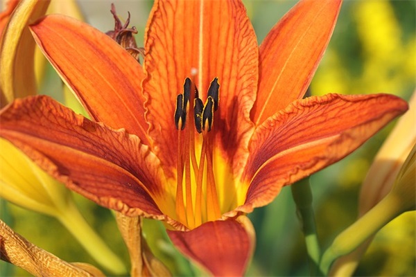 吕不韦名言名句