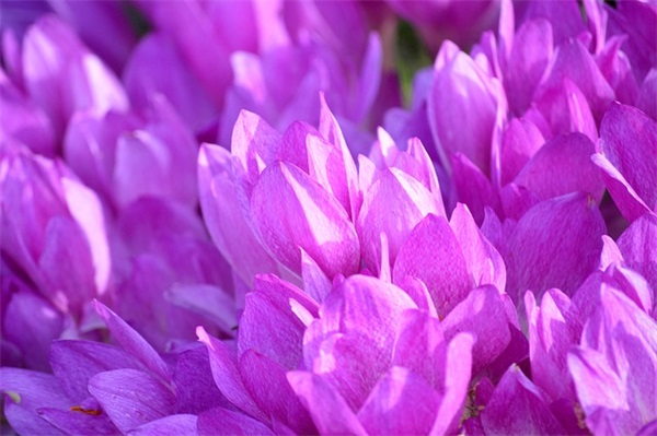 关于上班的名言