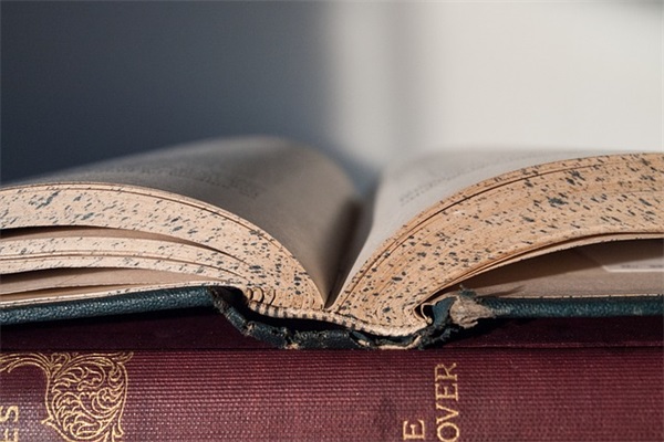 关于君子的名言