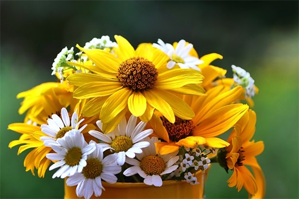 关于团队精神的名言