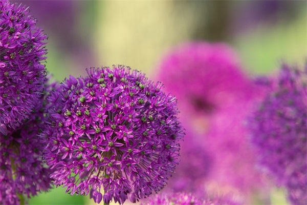 奥林匹克的新格言